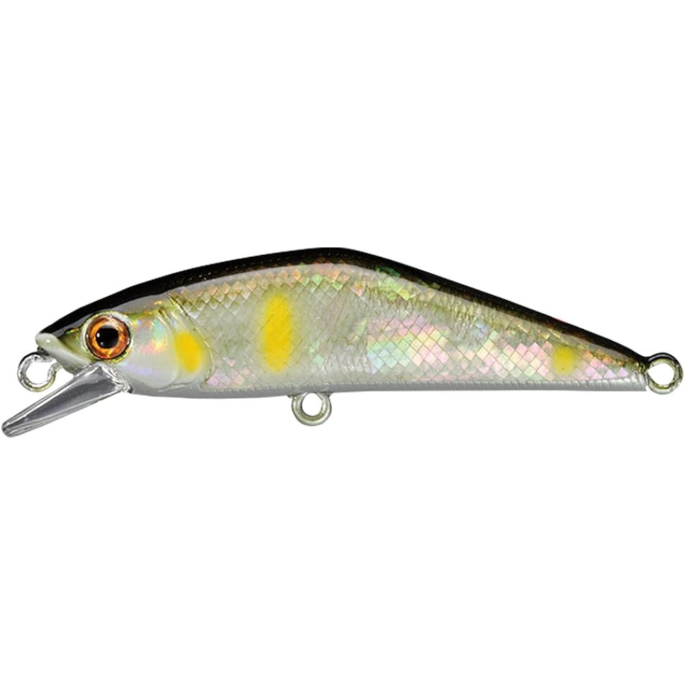 SMITH D-CONTACT 50 Abalone SMITH D-CONTACT