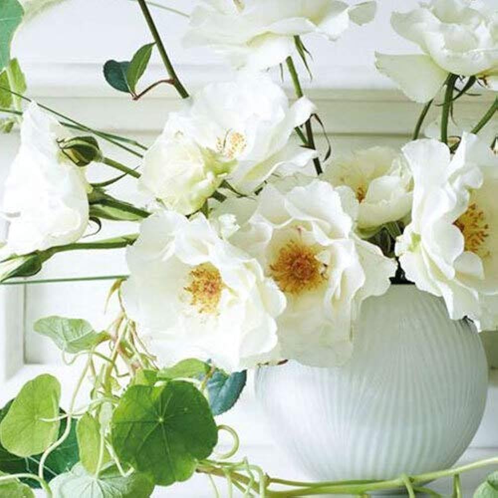 [Regular Imported Product] Wedgwood White Folia Flower Base Vase 13cm Wedding Gift Present 40032153