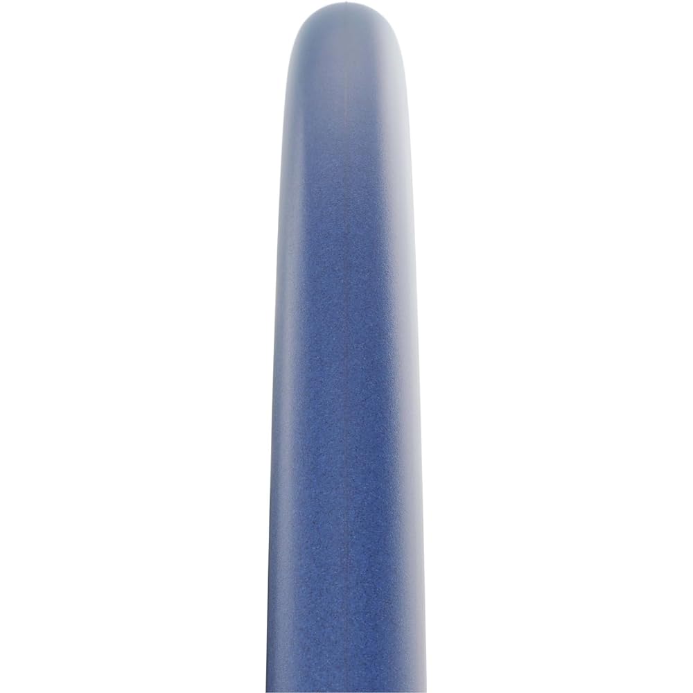 SCHWALBE INSIDER 700×23C 310g Roller Training Tire