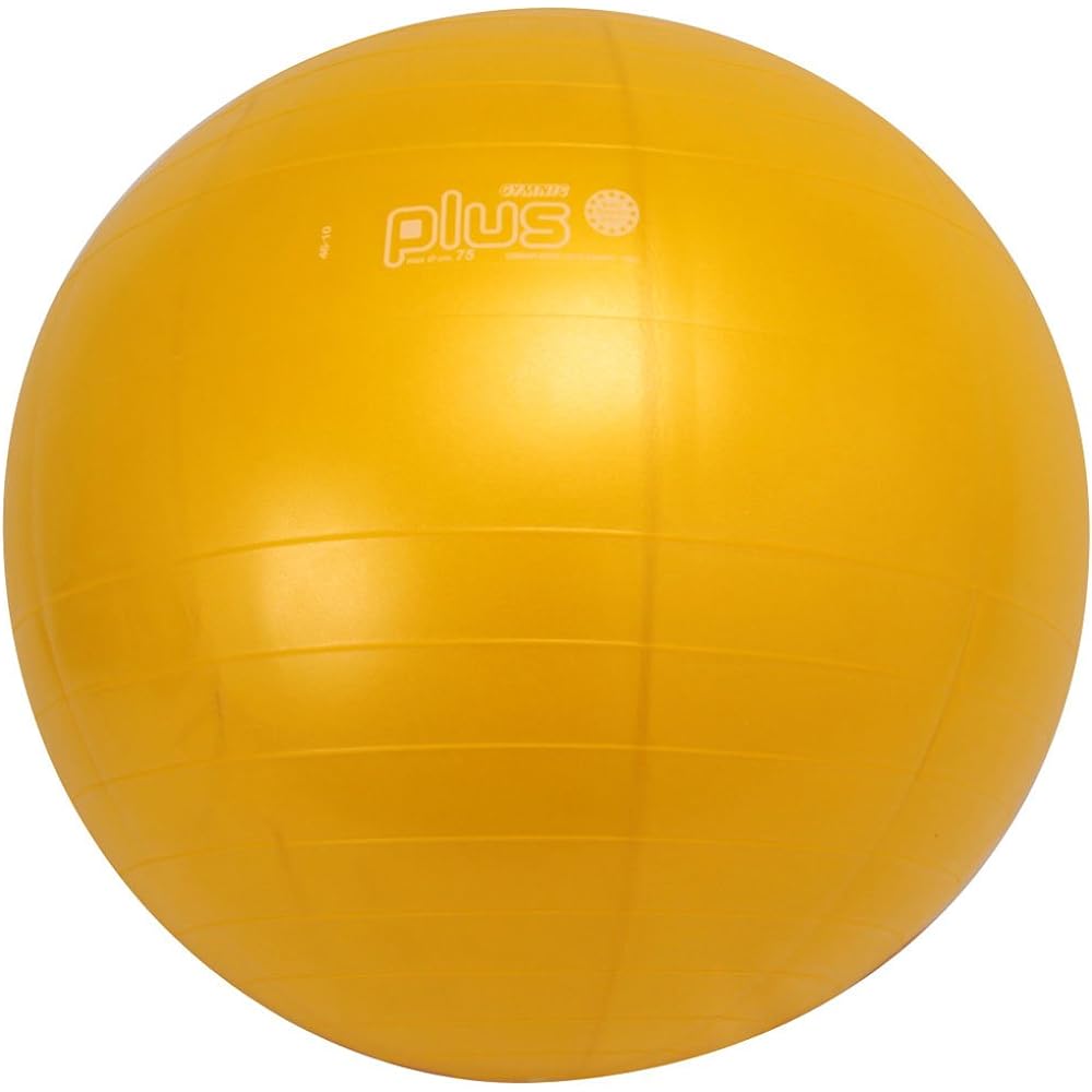 DANNO Balance Ball Gymnik Color Ball PLUS
