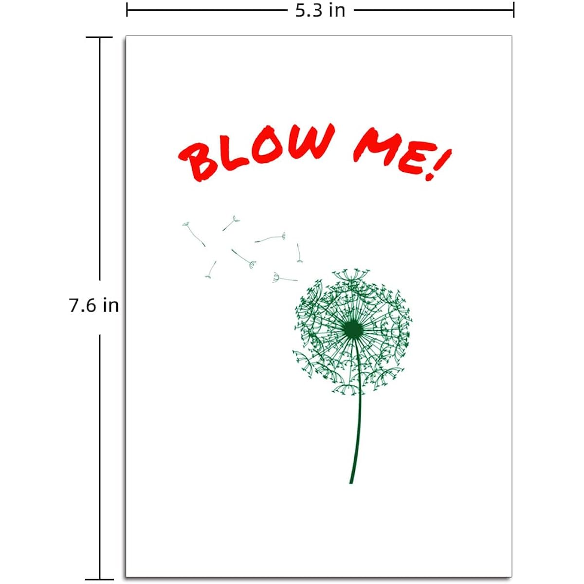 Ikassong Funny Prank Birthday Card with Envelope 5.3" x 7.6" #63