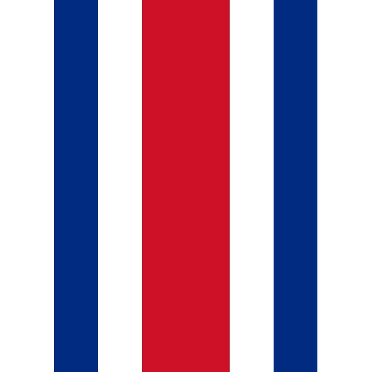 Toland Home Garden Costa Rica 28" x 40" Decorative House Flag (28" x 40")