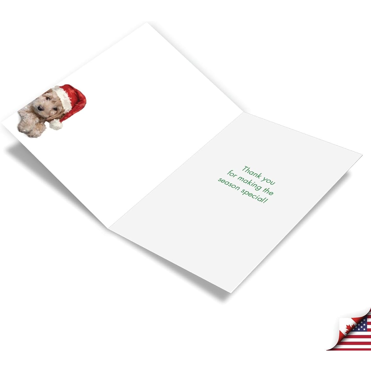 NobleWorks Christmas Thank You Greeting Card with 5 x 7 Inch Envelope (1 Card) Red Truck Puppy - Driver C3375EXTG