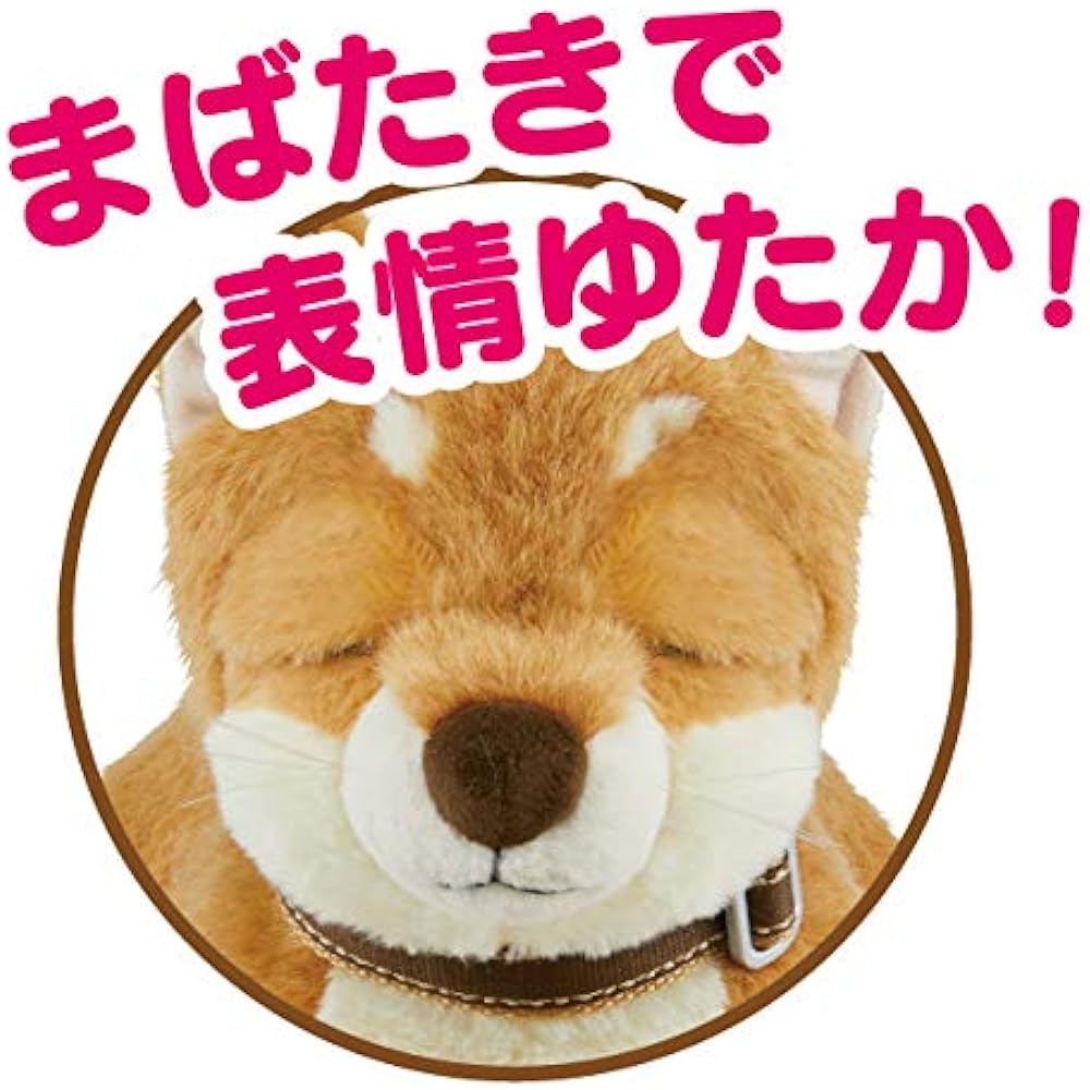 A relaxing conversation that starts with a good morning, a Shiba Inu dog and a chatty communication pet, IWAYA