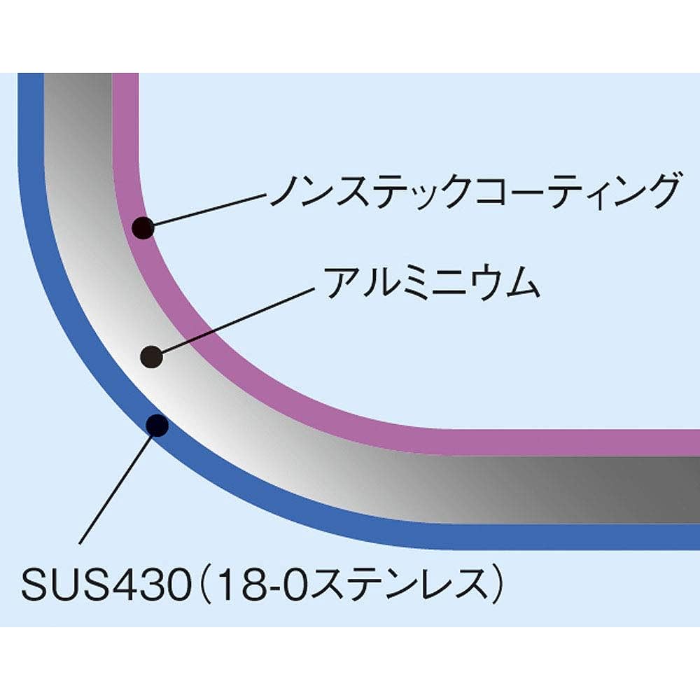 Endo Shoji Commercial IH Select Shallow One Hand Pot 22cm 2 Layer Structure IH Compatible AKTF904