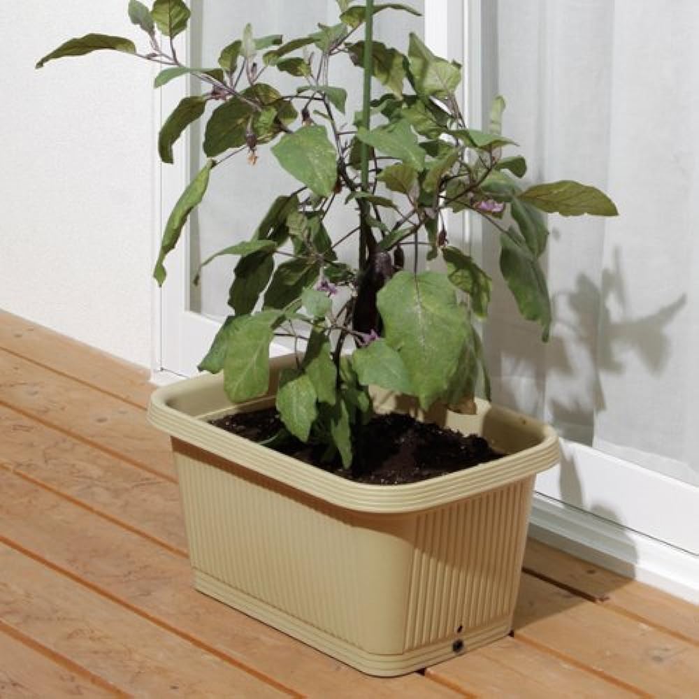 Iris Ohyama Vegetable Planter with 2 Holes [Set of 12] Vegetable Brown