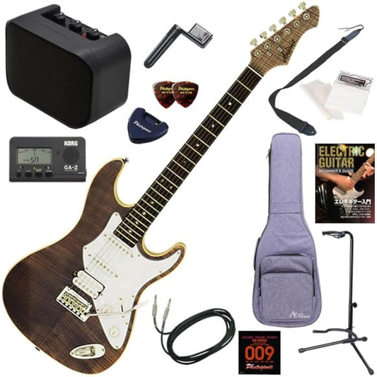 AriaPro2 Electric Guitar Beginner's Guide 13-piece Set with Mini Amplifier 714-AE200/LV (Lavender)