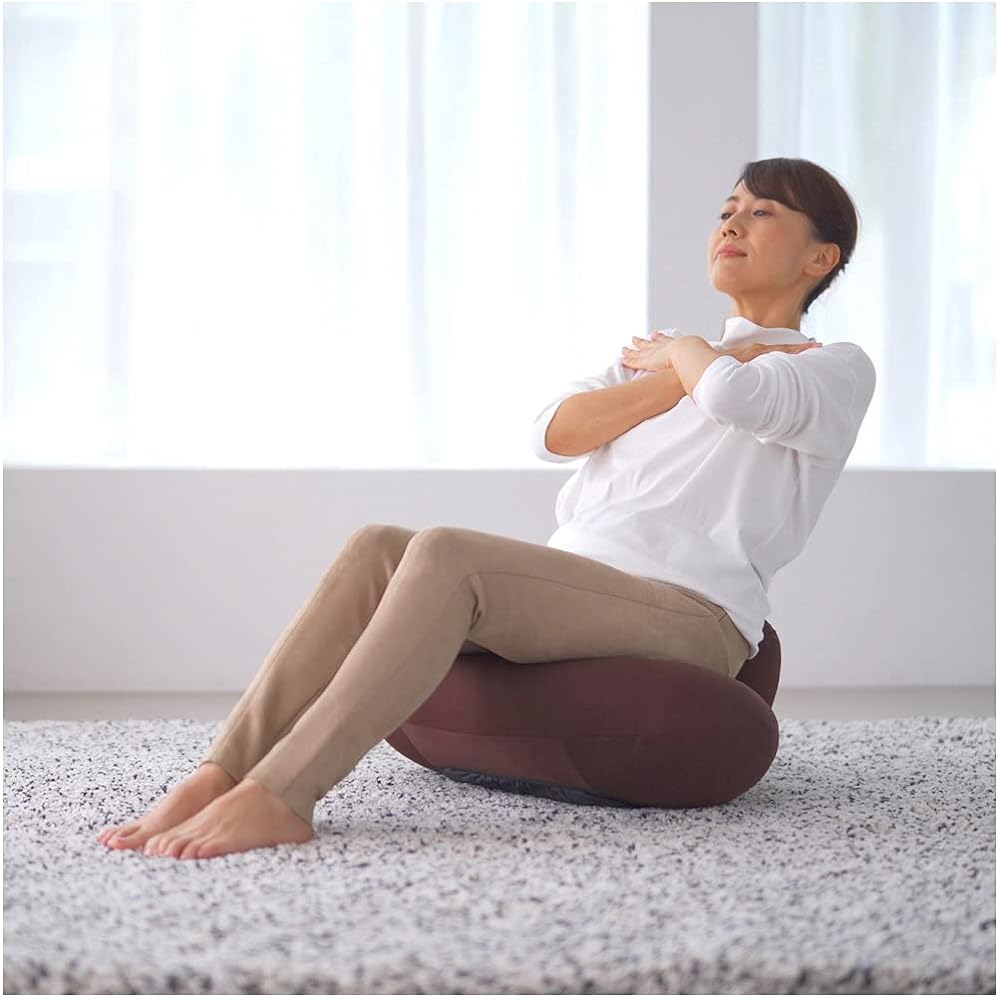 MIZUNO Healthy Interior Abs Pull Plus Health Training Equipment Design that blends in with your interior Abs Posture Pelvis Brown C3JHI004