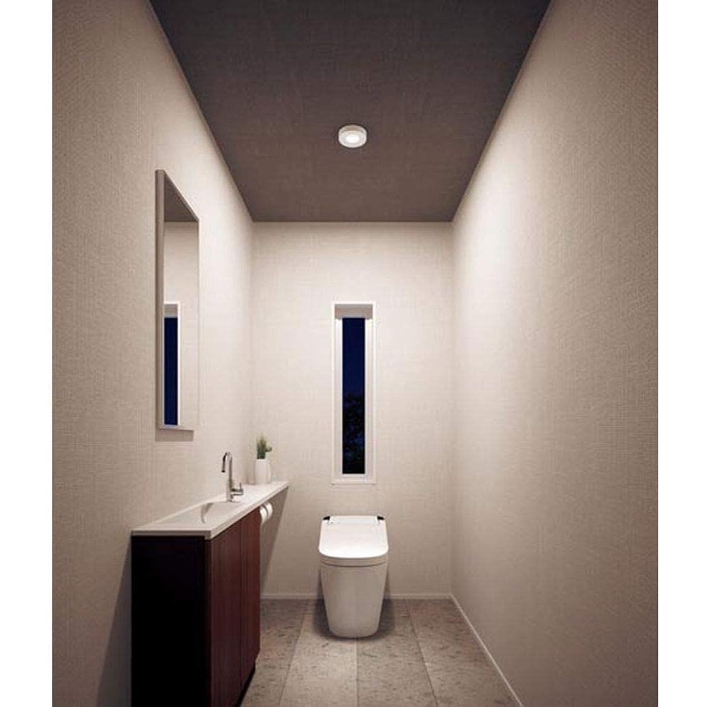 Panasonic LED down ceiling 60 type diffused bulb color LGBC58062LE1