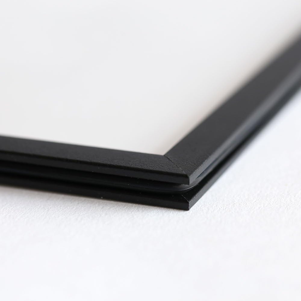 [Authorized Japanese agency product] FRAME frame A3 size (black)