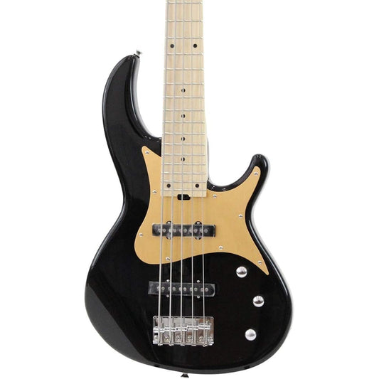 AriaProII 5 string bass RSB series BK RSB-618/5