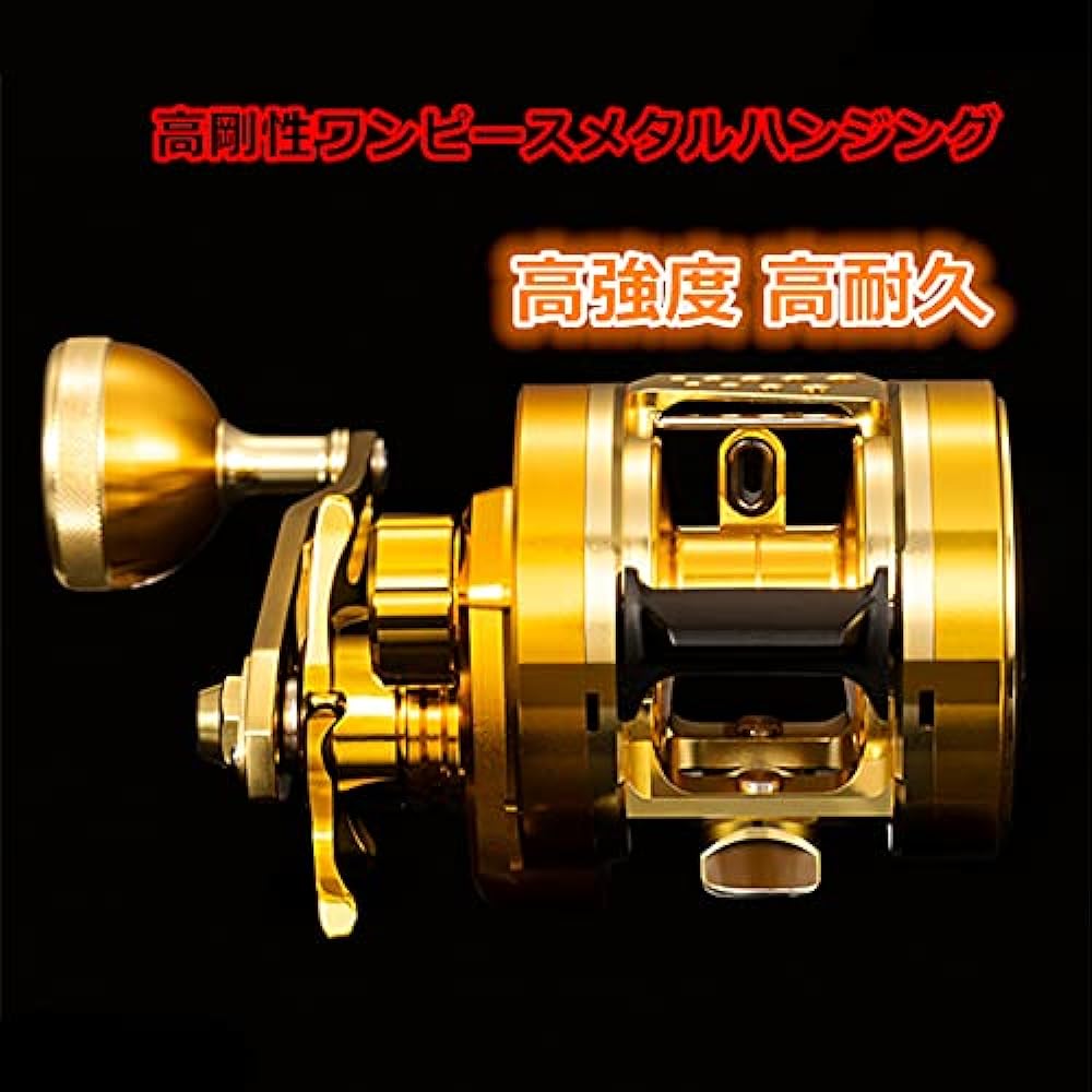 RYOBI Varius Jigging Reel GR30 (Left Handle or Right Handle) [Overseas Limited Model] Gear Ratio 7.0:1 High Gear Specification Equipped with Synchro Level Wide Tairaba Metal Jig Stone Sea Bream Lure