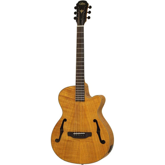 ARIA FET-F2 Stained Brown Electric Acoustic Guitar Aria
