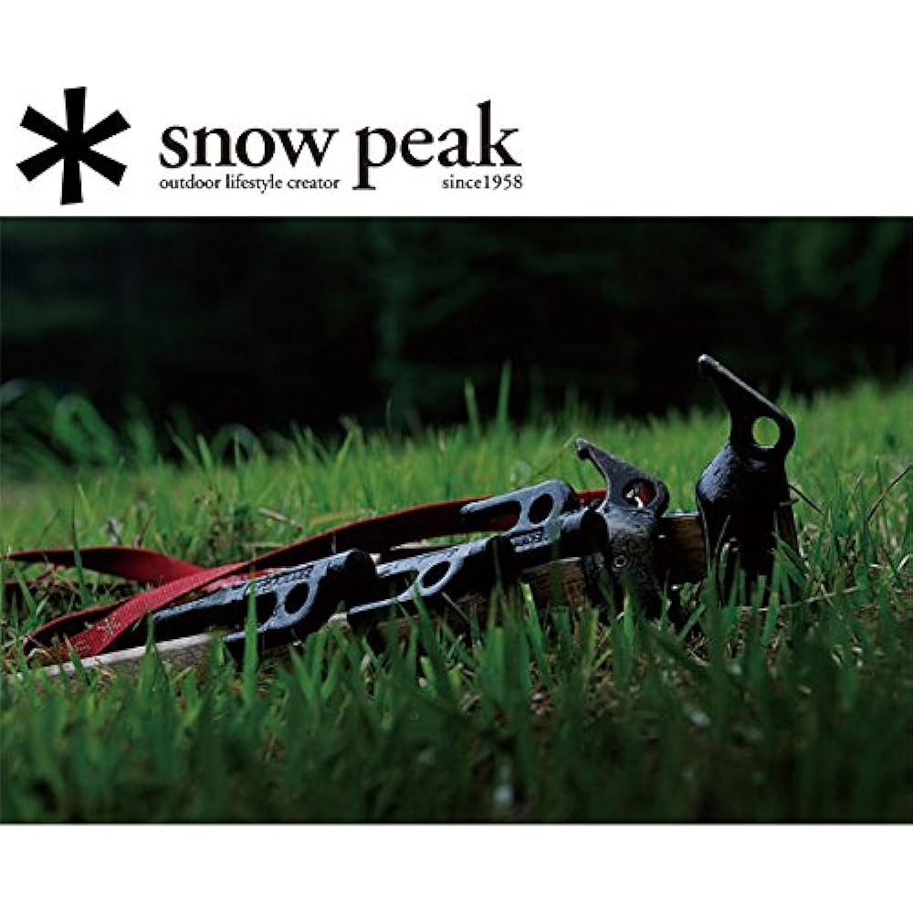 (Snow Peak) snowpeak 10 piece set Snowpeak snowpeak peg tent/tarp accessories/solid stake 30/R-103 sp-r-103-10