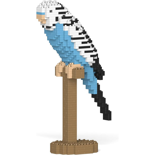 Budgie 01S-M02
