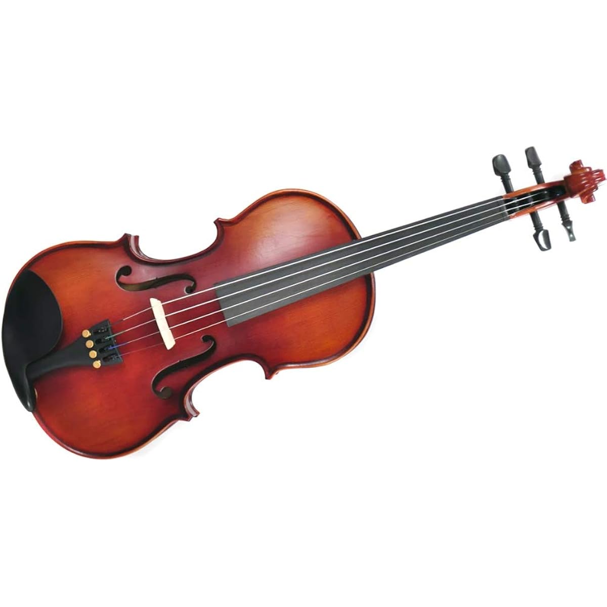 PLAYTECH Violin Regular Model 4/4 Size Ebony Fingerboard with Bow and Case PVN344