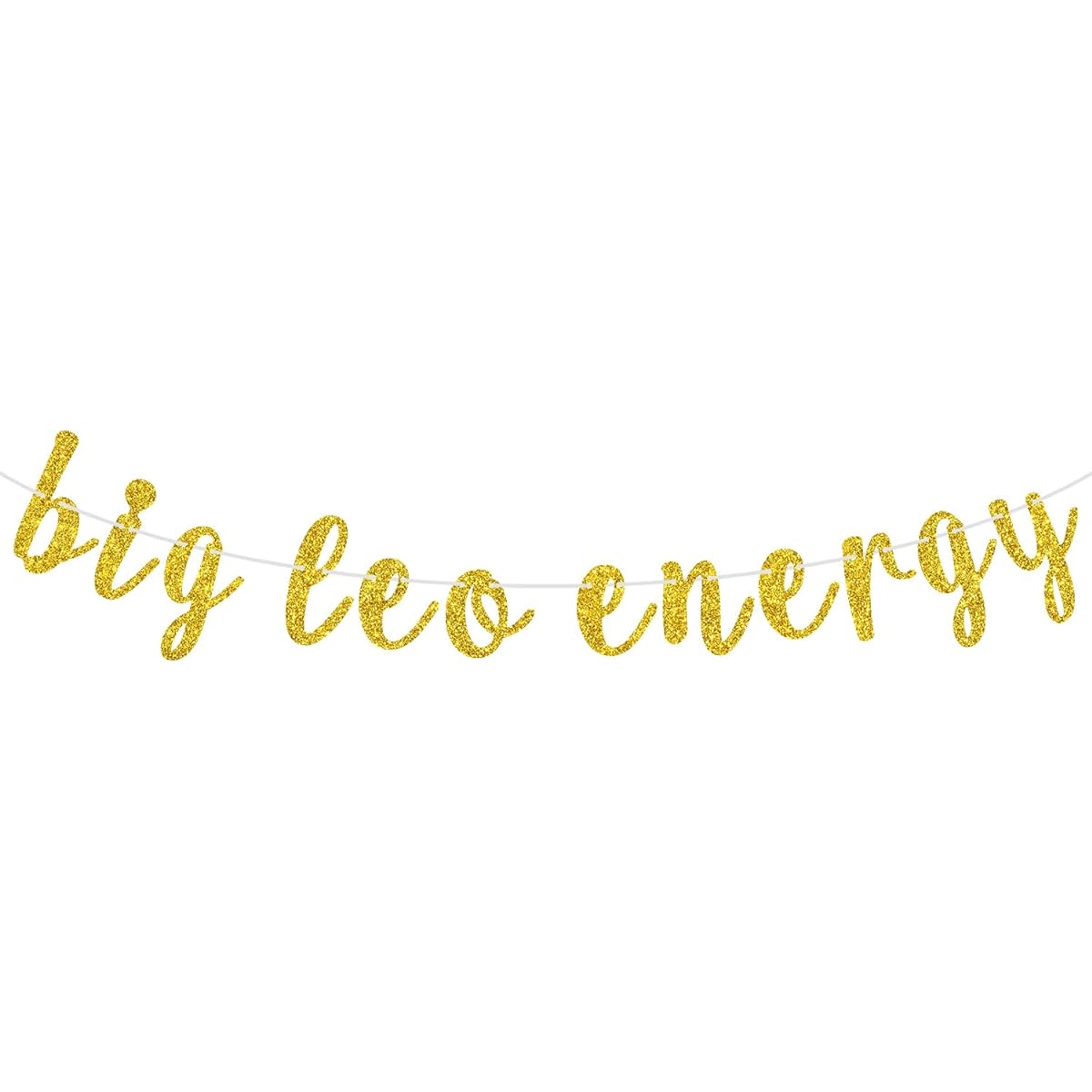 Big Leo Energy Banner Happy Birthday Leo Horoscope Star Sign 12 Zodiac Signs Theme Birthday Party Decorations Supplies for Boys and Girls Gold Glitter