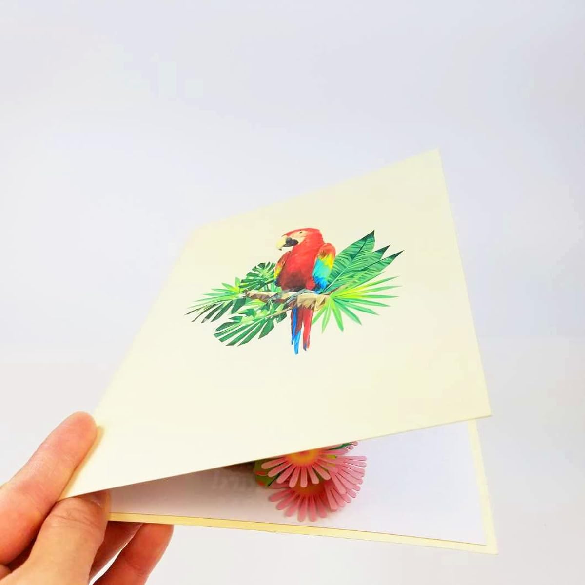 Parrot Pop Up Birthday Card - Happy Birthday Pop Up Card for Son Daughter Wife Friends Nature Wildlife Bird Lover | Pop Card Express