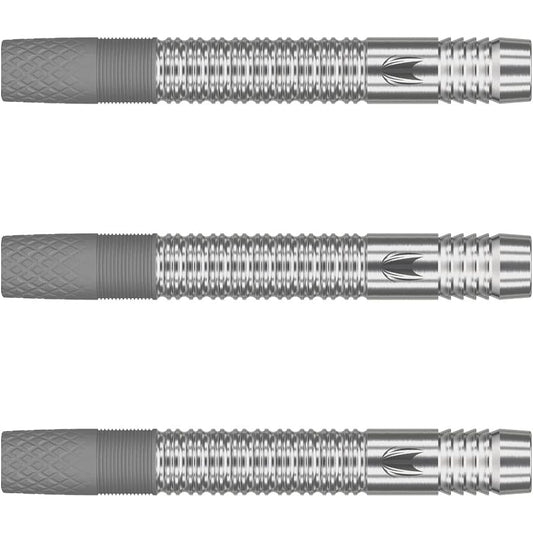 TARGET DIMITRI VAN DEN BERGH G1 90% 2BA 21g ＜210197＞ Dimitri van den Bergh player model darts barrel darts set