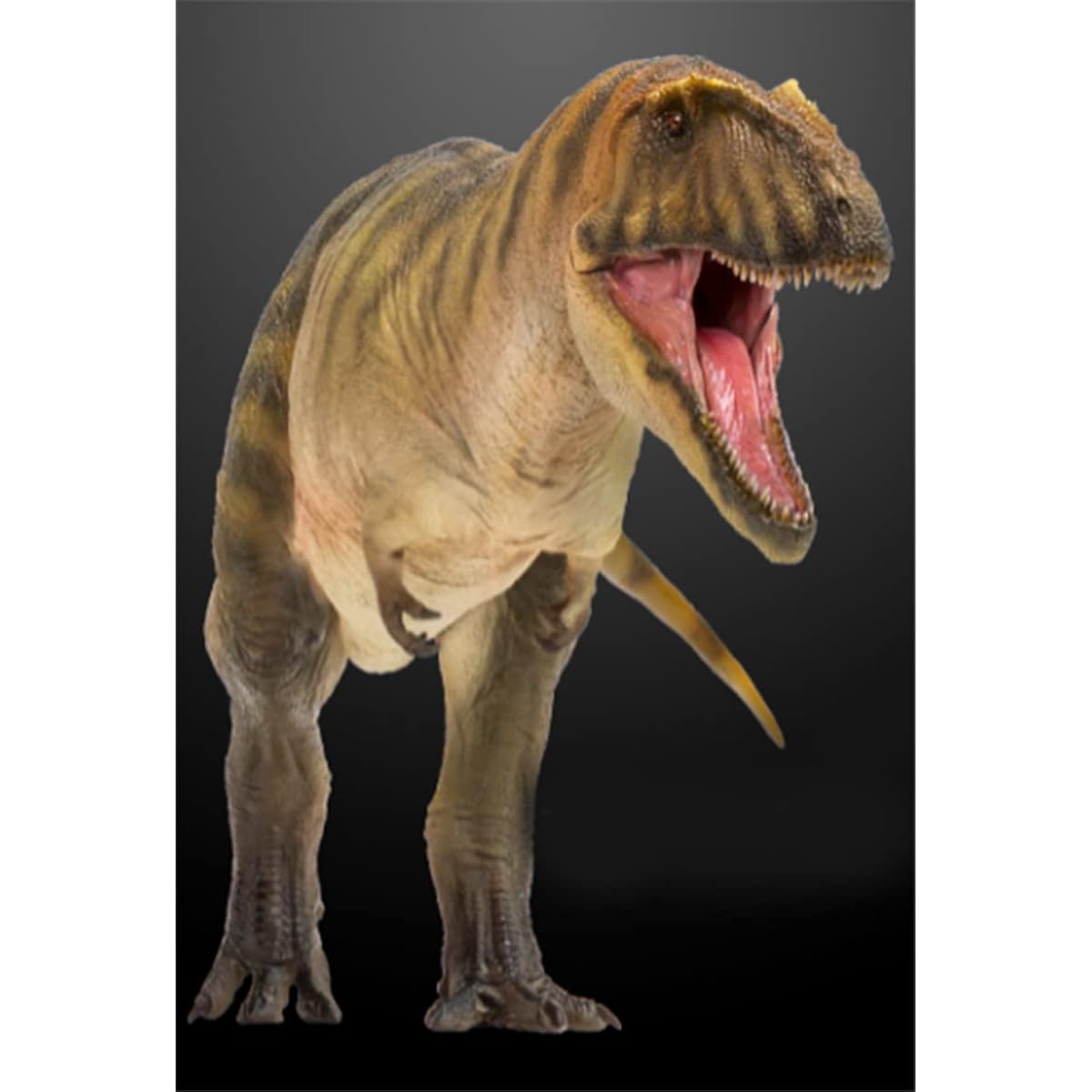 PNSO Carcharodontosaurus Gamba Dinosaur Model Toy Collectible Tyrannosaurus Rex Dinosaur Science Art Model Real Animal Figure PVC Premium Plastic Model Painted Finished Product
