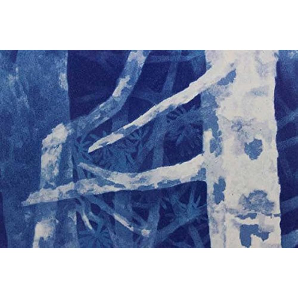 Art Shop Forms Higashiyama Kaii "Hakuba Forest" Art Poster Framed Item (Frame Silver)