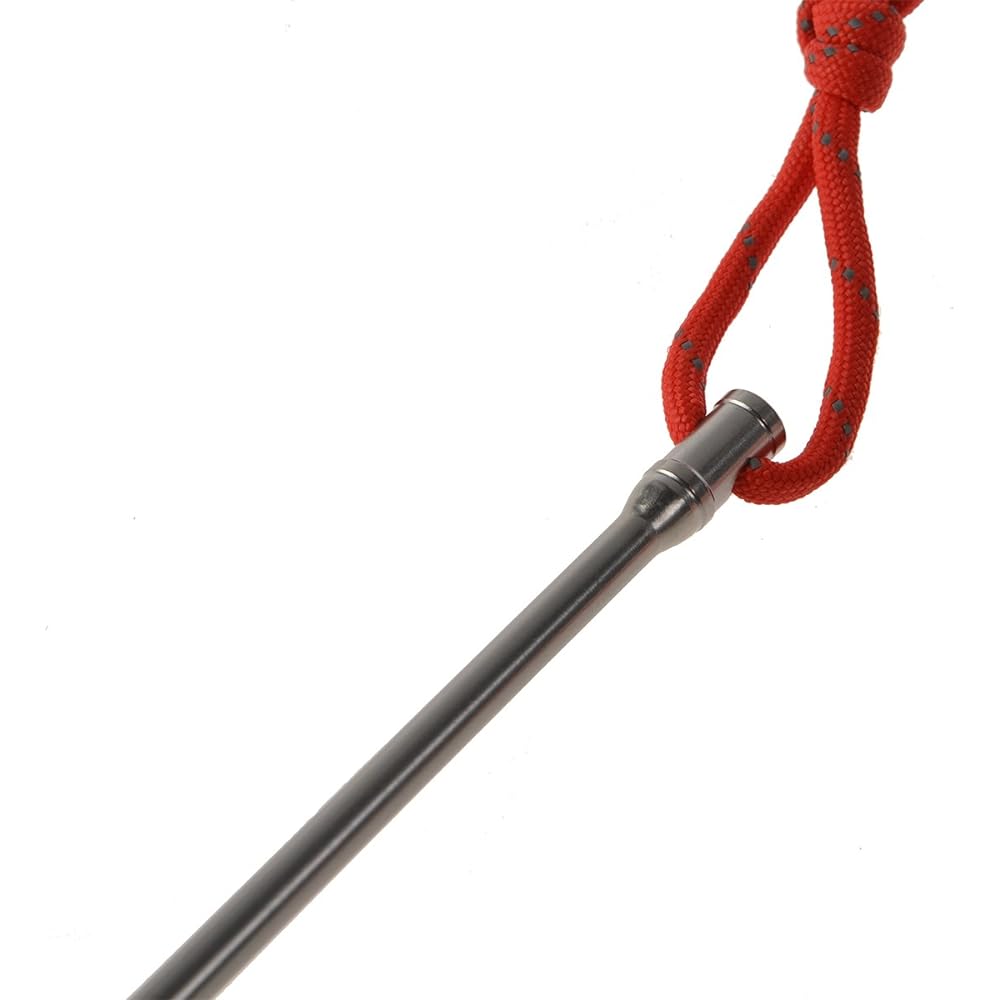 10 high-strength titanium nail pegs that can be firmly driven into fields where Dingtai pegs cannot stand [parallel import goods]