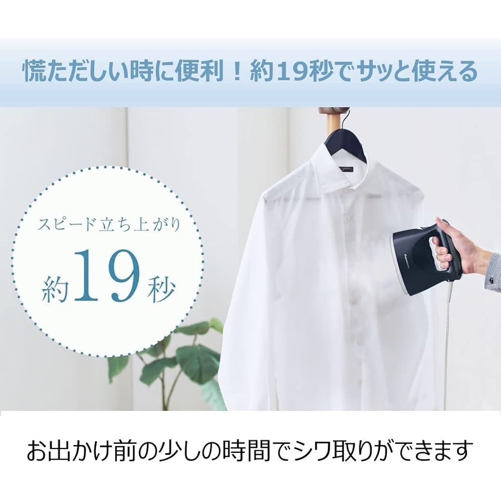 Panasonic Clothing Steamer 360° Powerful Steam Compact Type Beige NI-FS580-C