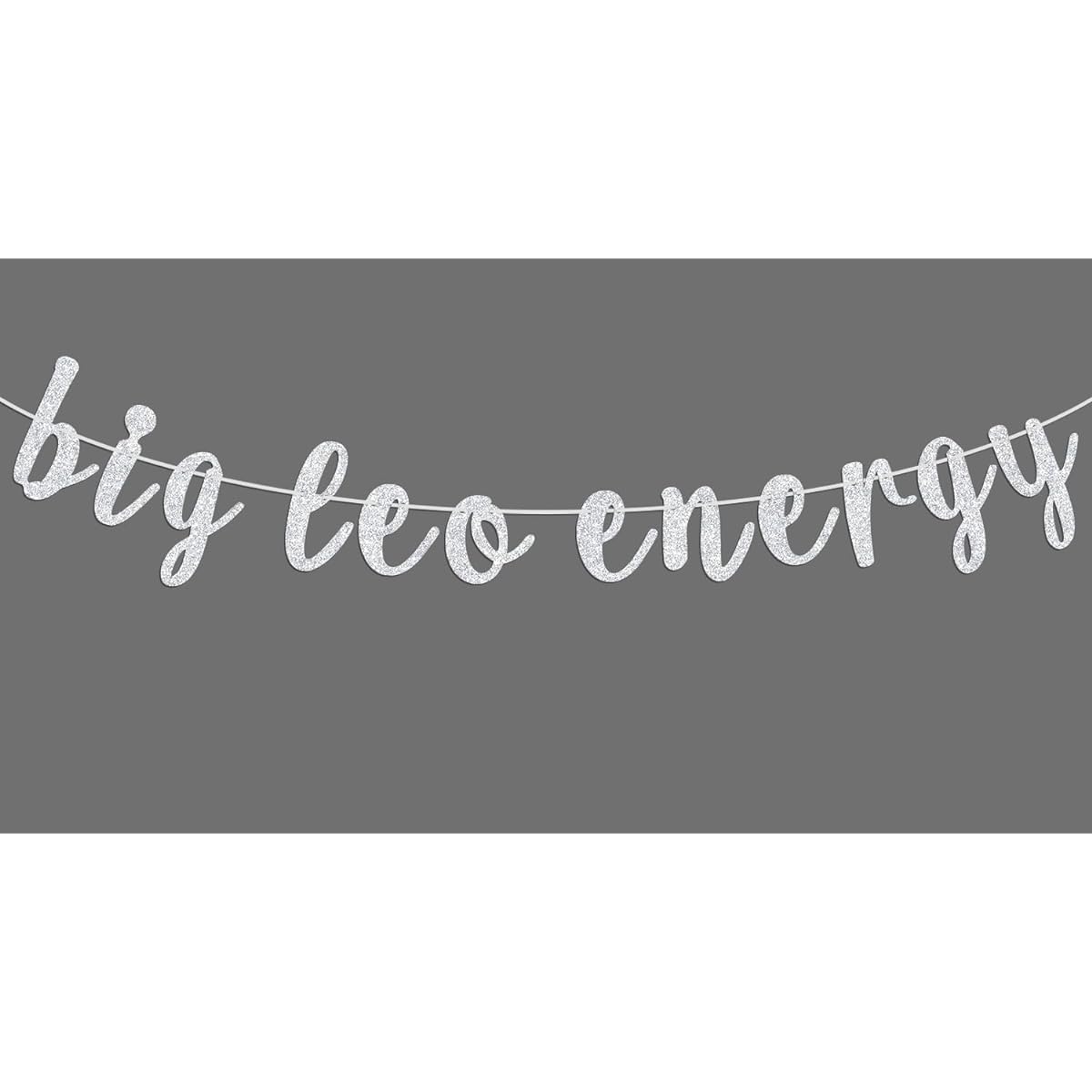 Big Leo Energy Banner Happy Birthday Leo Horoscope Star Sign 12 Zodiac Signs Theme Birthday Party Decorations Supplies for Boys and Girls Silver Glitter