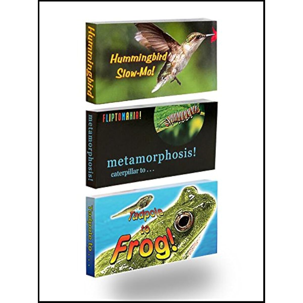Fliptomania Nature Flip Book Set of 3 (Butterfly, Hummingbird, Frog)