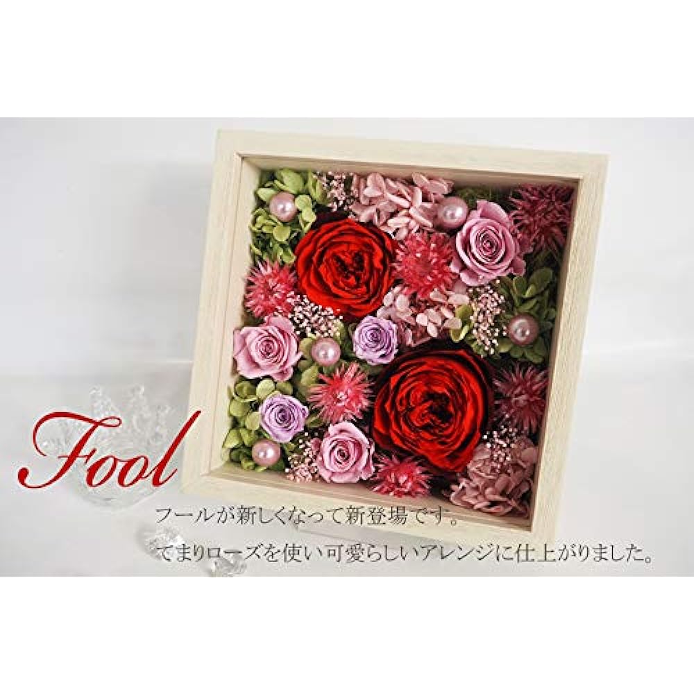 Fradeco Preserved Flower [Fool] (Red)