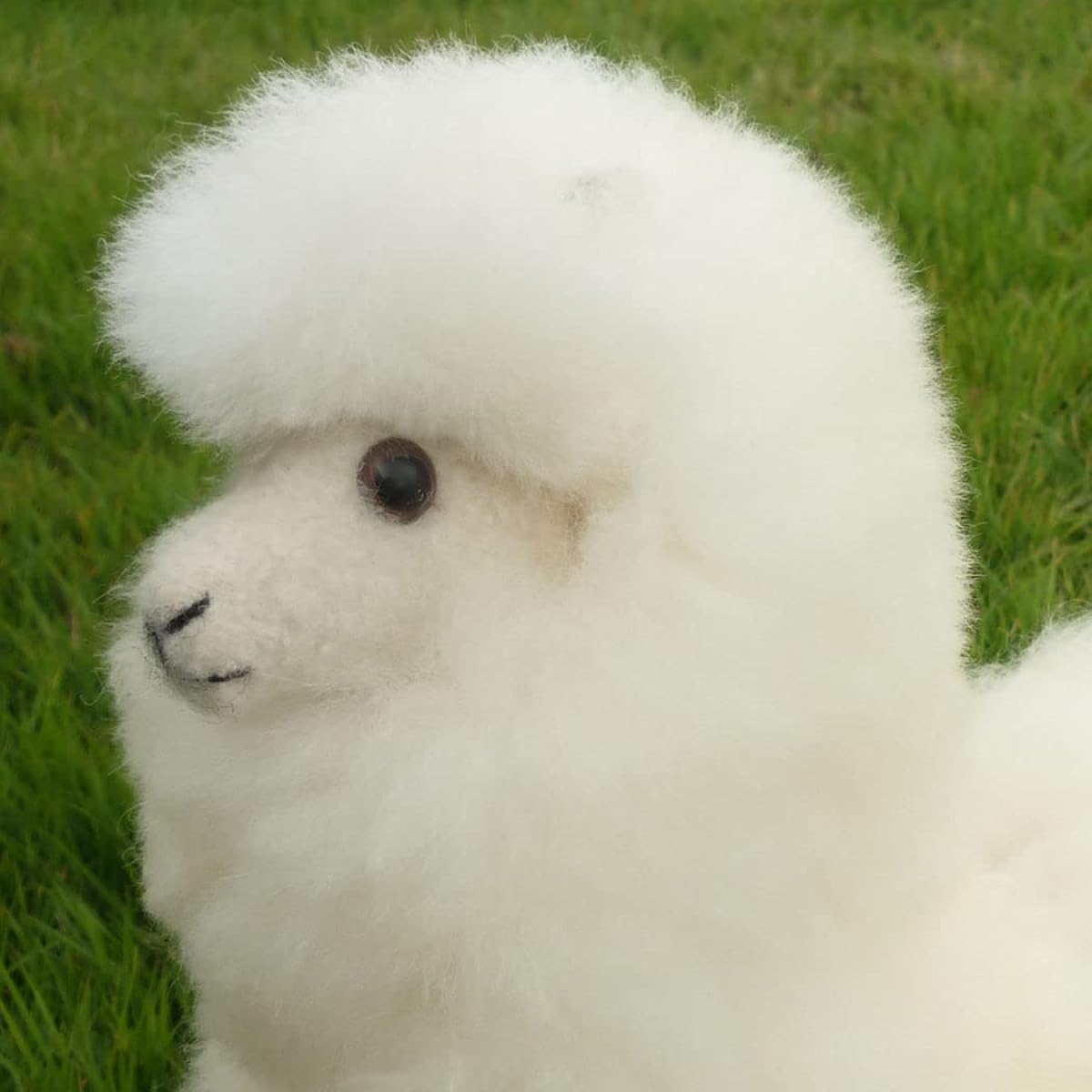 Height approx. 32cm Plush Alpaca Llama Baby Alpaca Fur Large 10A