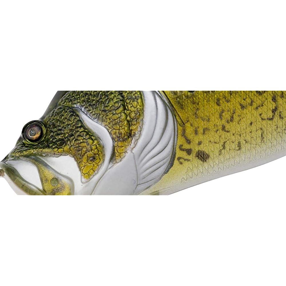 Adusta Zack Roll YB Jr. (Yajirobee Jr.)