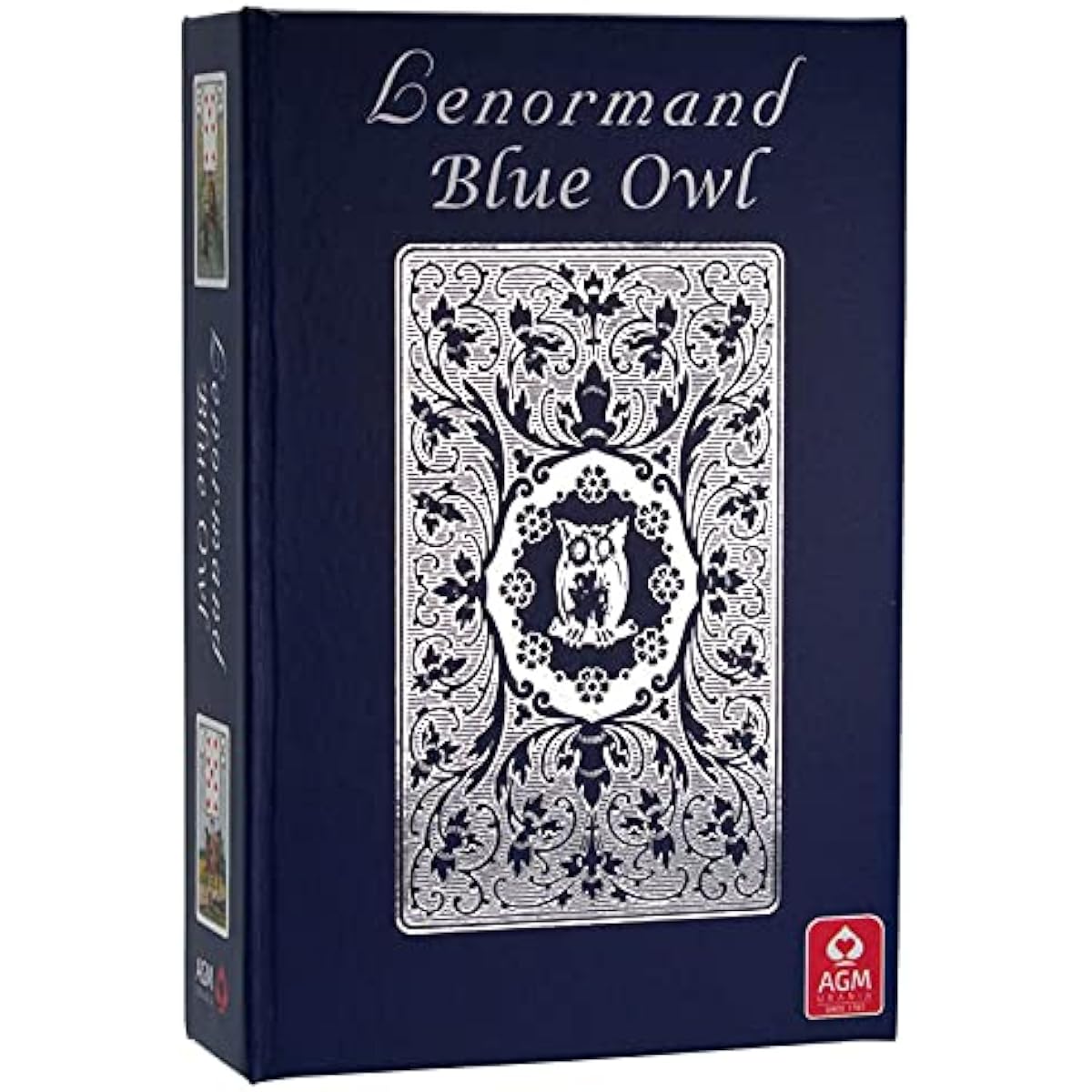 Blue Owl Premium Edition Silver Foil 36 Oracle Card Deck Lenomand Hard Box