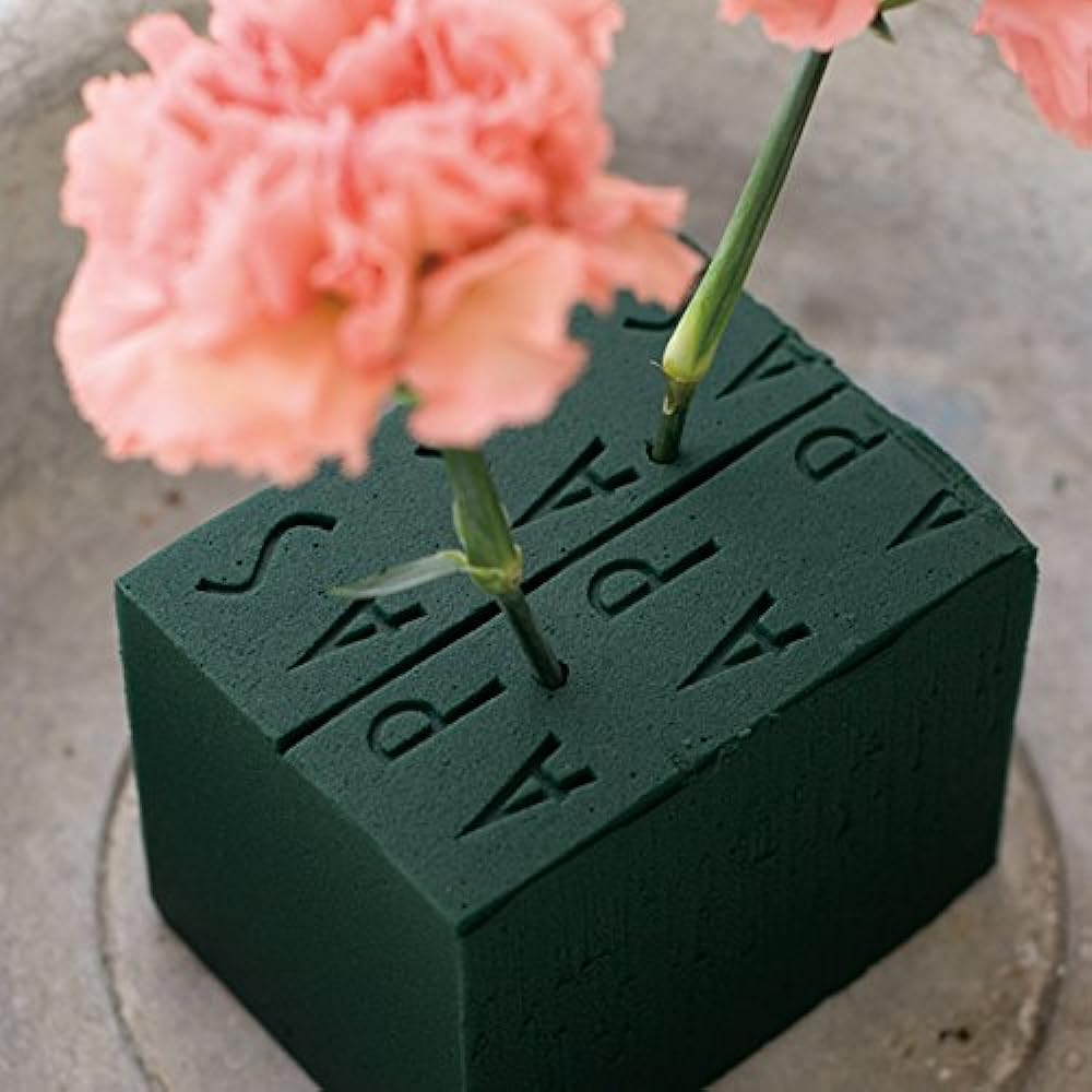 Floral Foam Oasis Arpas (48 pieces) F-1