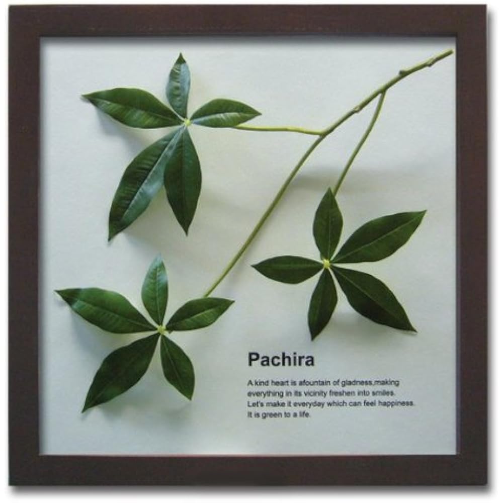 Leaf Panel Made in Japan Handmade Pachira Ayuwara Decoration Instructions Included Painting Interior Wall Hanging Framed Leaf Panel Art Panel Living Room Entrance Present Modern Art Frame Stylish