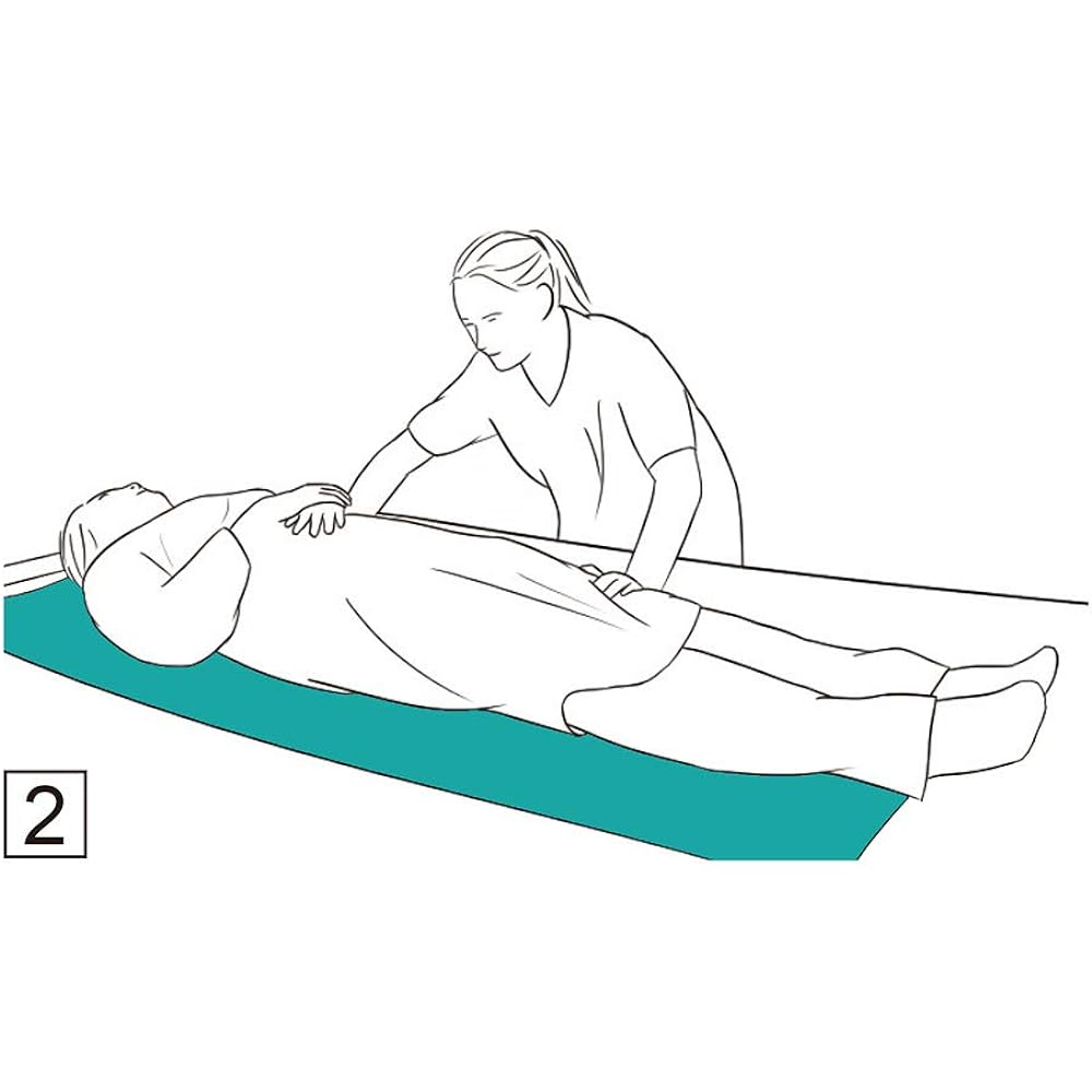 Nursing care sliding seat, transfer seat, moving support seat, assistance, transfer assistance, nursing care lift, movement, positioning, body change, aid, elderly (172*70 cm)