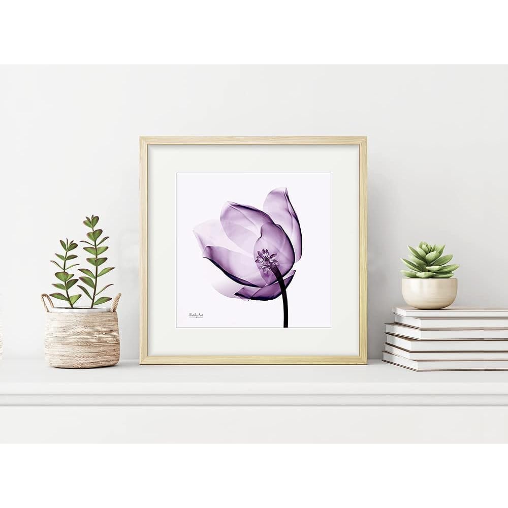 Painting "Purple Tulip" Interior Painting Flower Art Panel Framed (Height 32cm x Width 32cm)