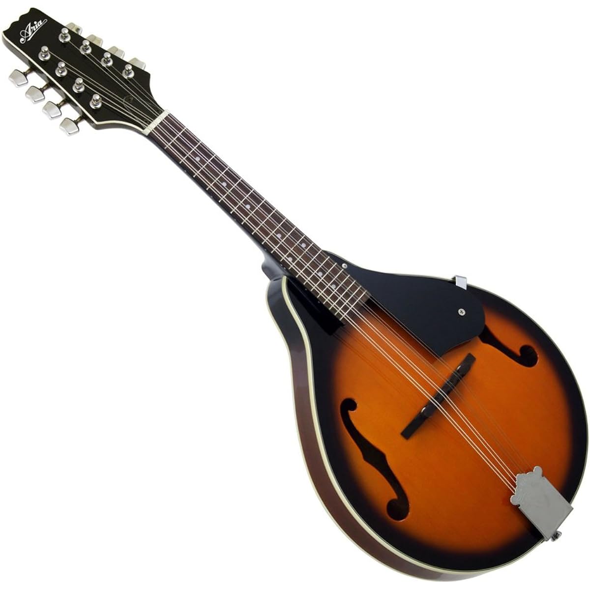 ARIA Mandolin AM-20 with hard case