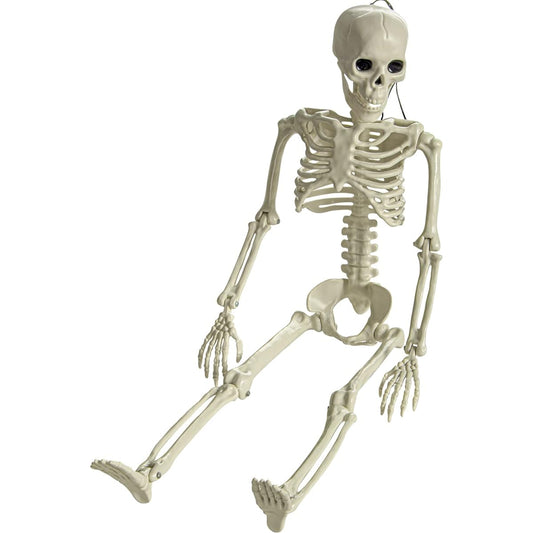 XONOR 25.6" Poseable Skeleton Halloween Decoration - Full Body Halloween Skeleton with Movable Joints Haunted House Props Decoration