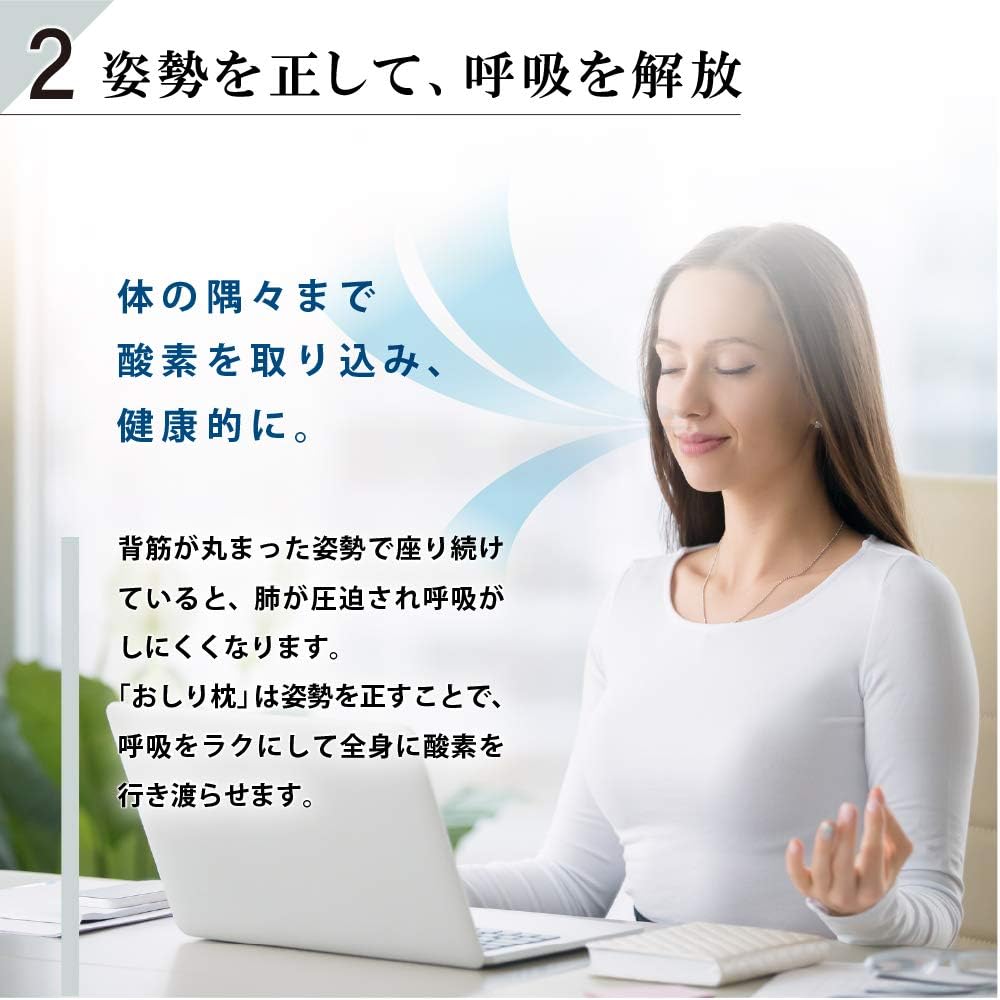 CURE:RE OSHIRI MAKURA Chiropractic Cushion Posture Body Pressure Dispersion Portable Cushion W41 x D25.5 x H3cm