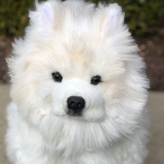 Auswella Stuffed Samoyed Plush Animal - Dog