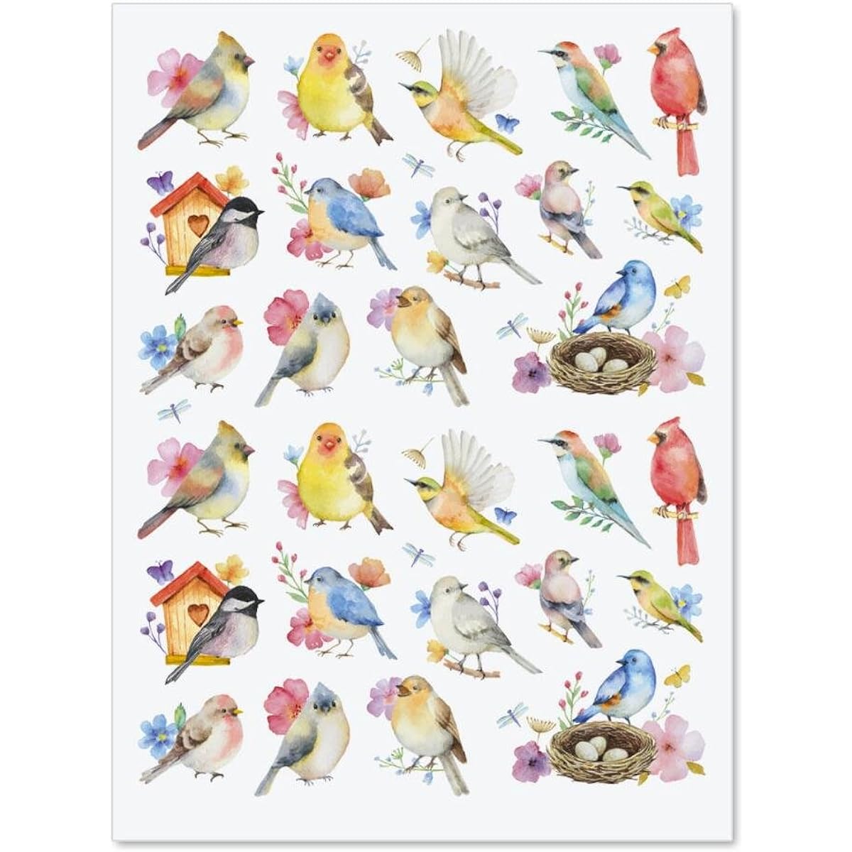 Current Watercolor Bird Stickers - Set of 52