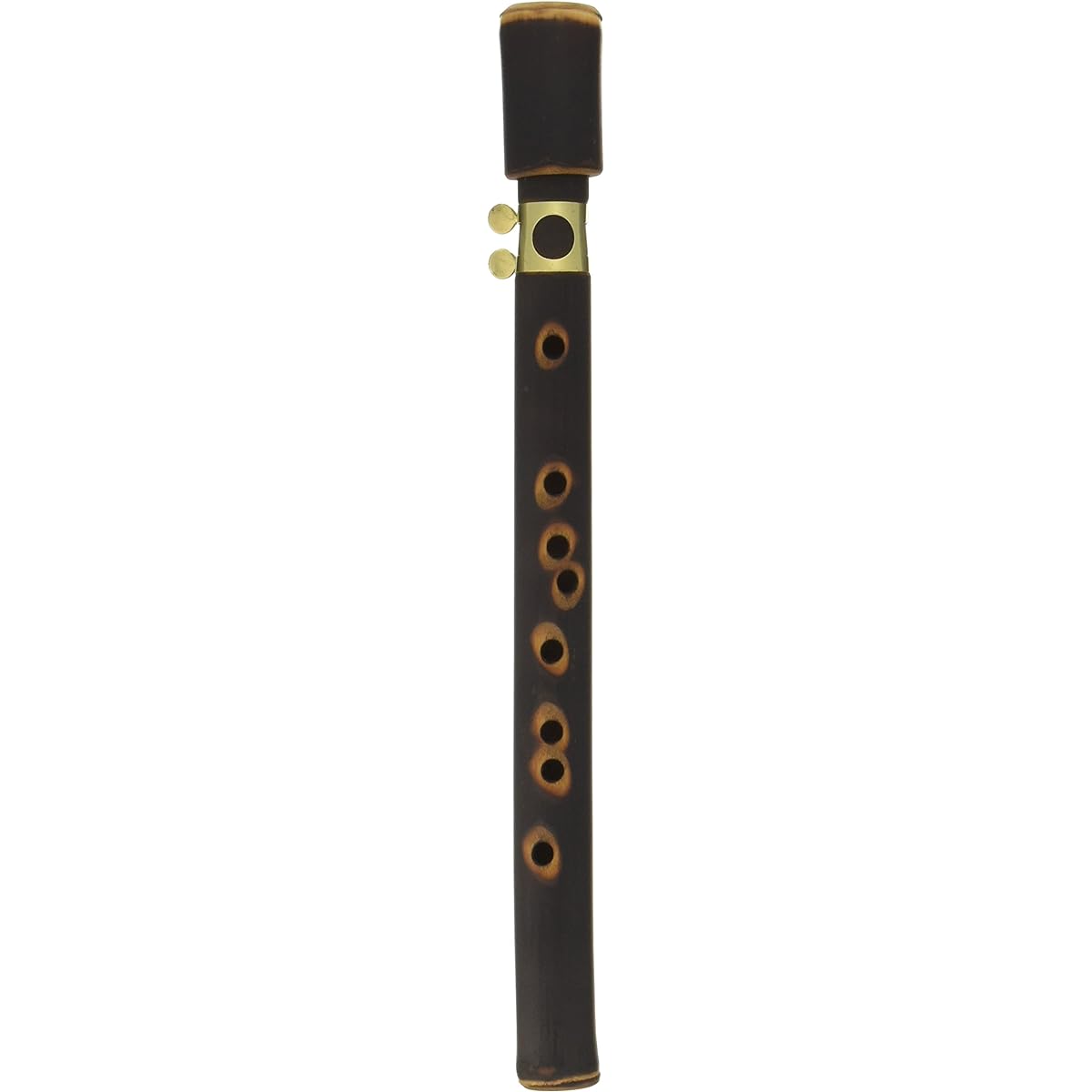 Xaphoon Bamboo Saxophone BAMBOO SAX (Key C) [Domestic regular product]