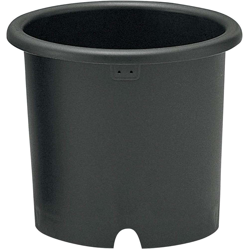 Richell Kikubachi No. 10 Black Set of 5 002038