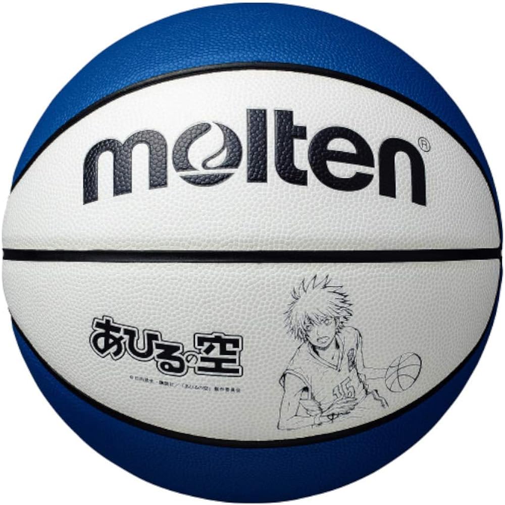 (Molten) MOLTEN Duck Sky Collaboration Ball No. 5