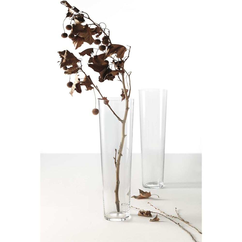 Leonardo Vase Flower Base Connical 60cm 029547 Clear