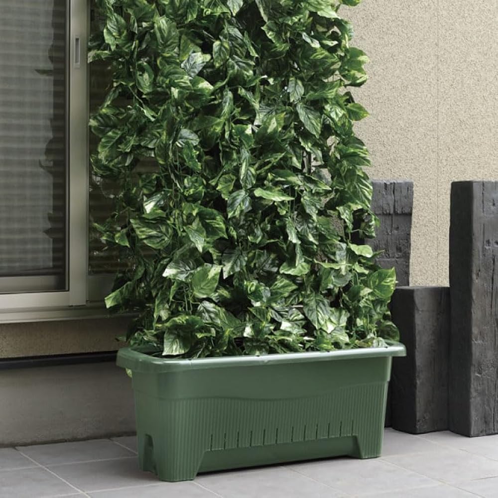 [Case sold] Richel Mizurak green curtain planter 85 type DG 8 pieces