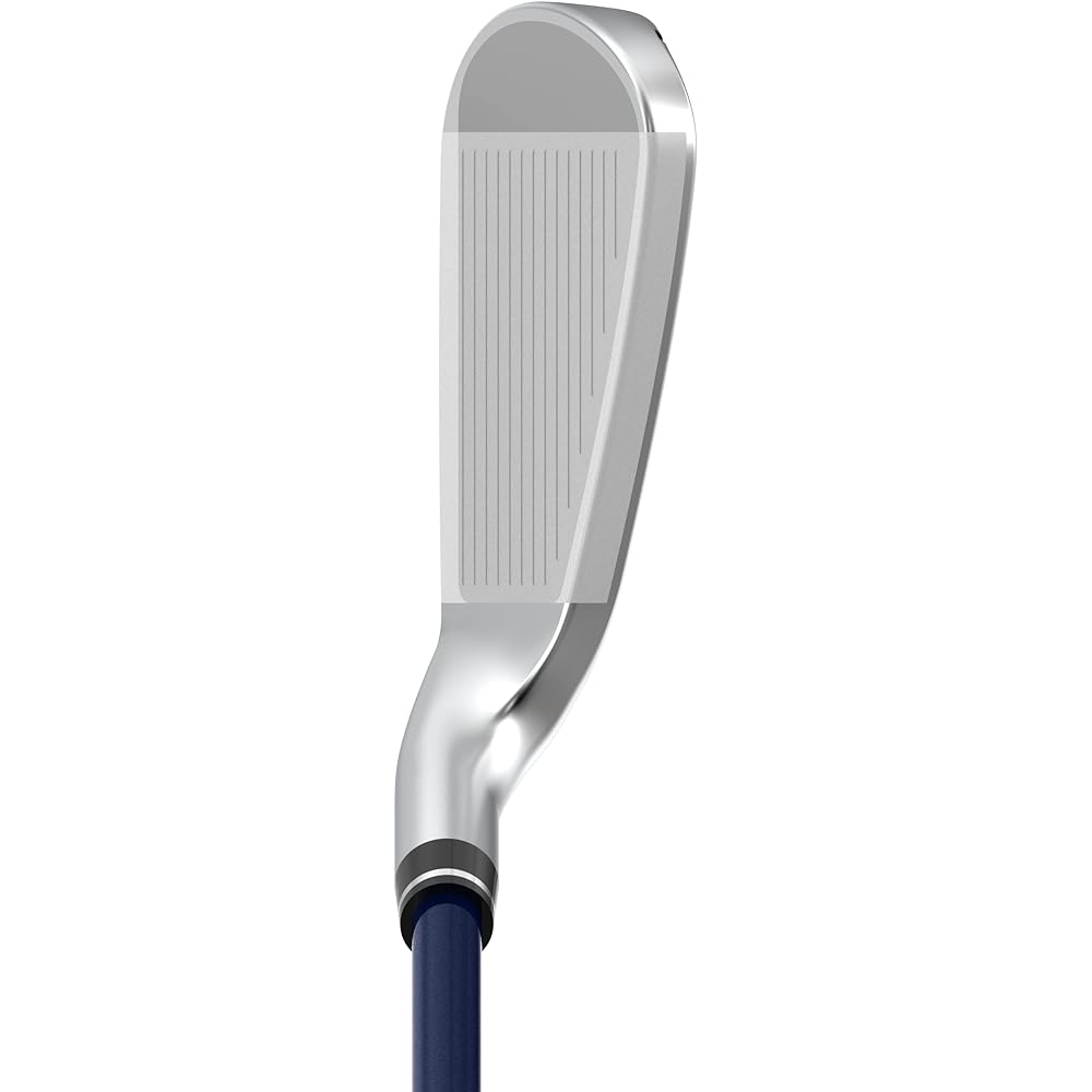 DUNLOP Golf XXIO12 XXIO Twelve Iron [Model with genuine catalog shaft] N.S.PRO 860GH DST for XXIO Shaft Steel Men's Right Navy Iron Set 5 Pieces (Count: 6-9, PW), Single Item (Count: 5, AW, SW) ) golf club set