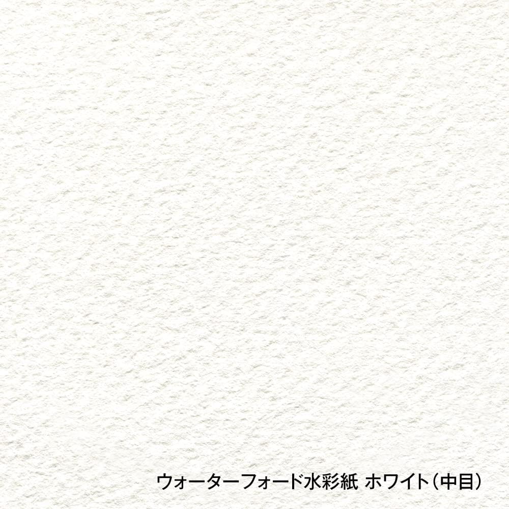 Holbein Waterford Watercolor Paper EHB-F8 White Medium Grain 300g F8 Size Block Type 12 Sheets Bound 270935