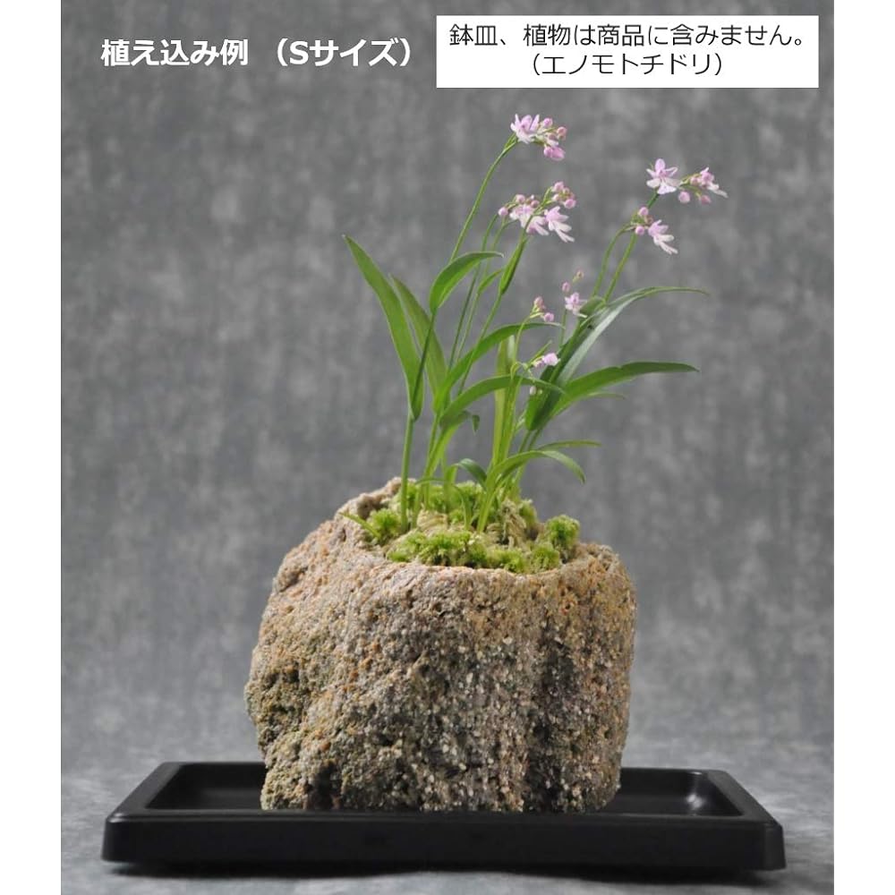 Kobohayachine Anti-Fire Stone (Pumice Stone) Pots S-LL Size Assortment - Set of 11 for Cultivating Wildflowers, Bonsai, and Succulents